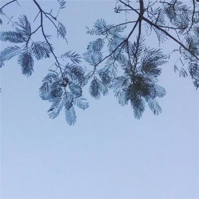 暗黑纪元手游官方版下载