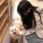 九游大圣归来棒指灵霄游戏下载
